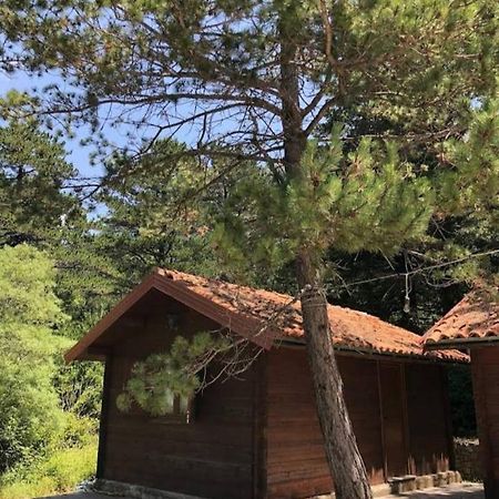 The Old Man'S Chalet Villa Dukat Bagian luar foto